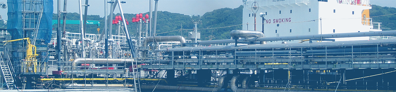 Petroleum Refinery and Petrochemical 