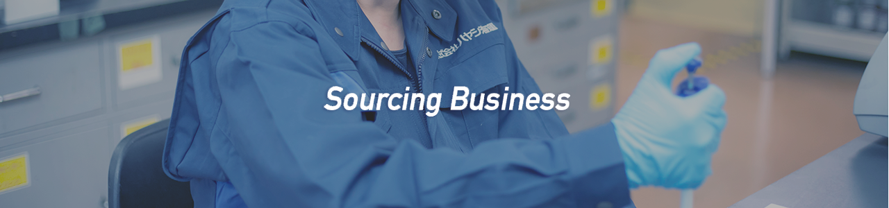 Sourcing Business